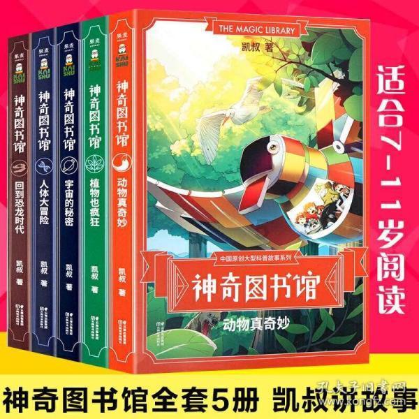 逃离午夜神坛